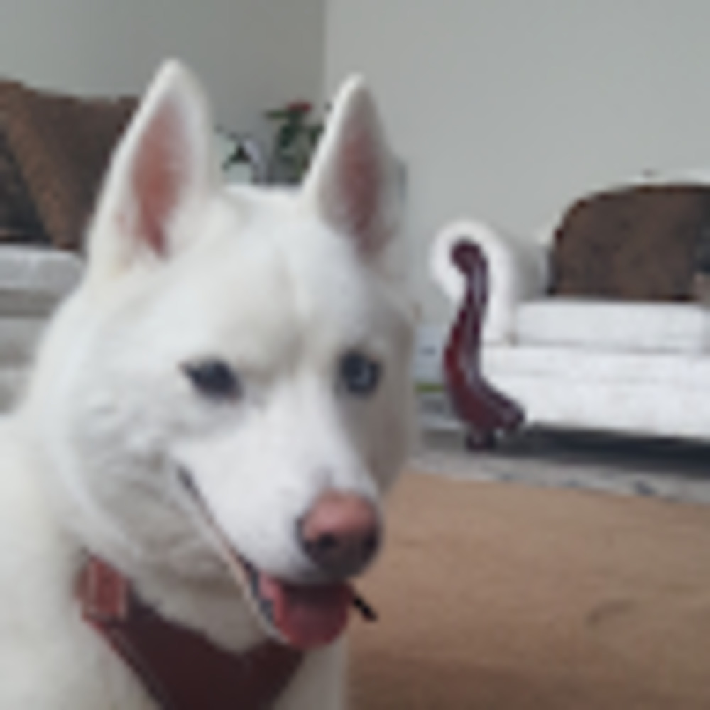 Meet your Posher, Adriana